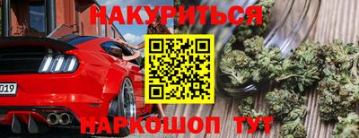 шишки Будённовск