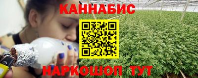 шишки Будённовск